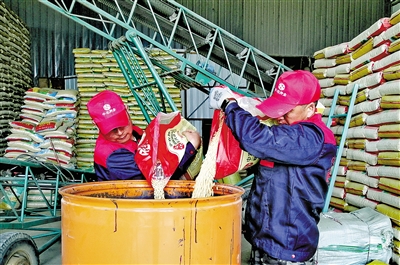 內蒙古：春耕備耕科技先行