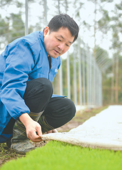 從“看天育秧”到“車間造苗”