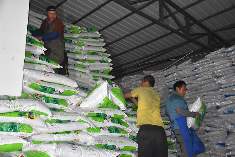 紅河開遠：奏響春耕備耕“奮進曲”