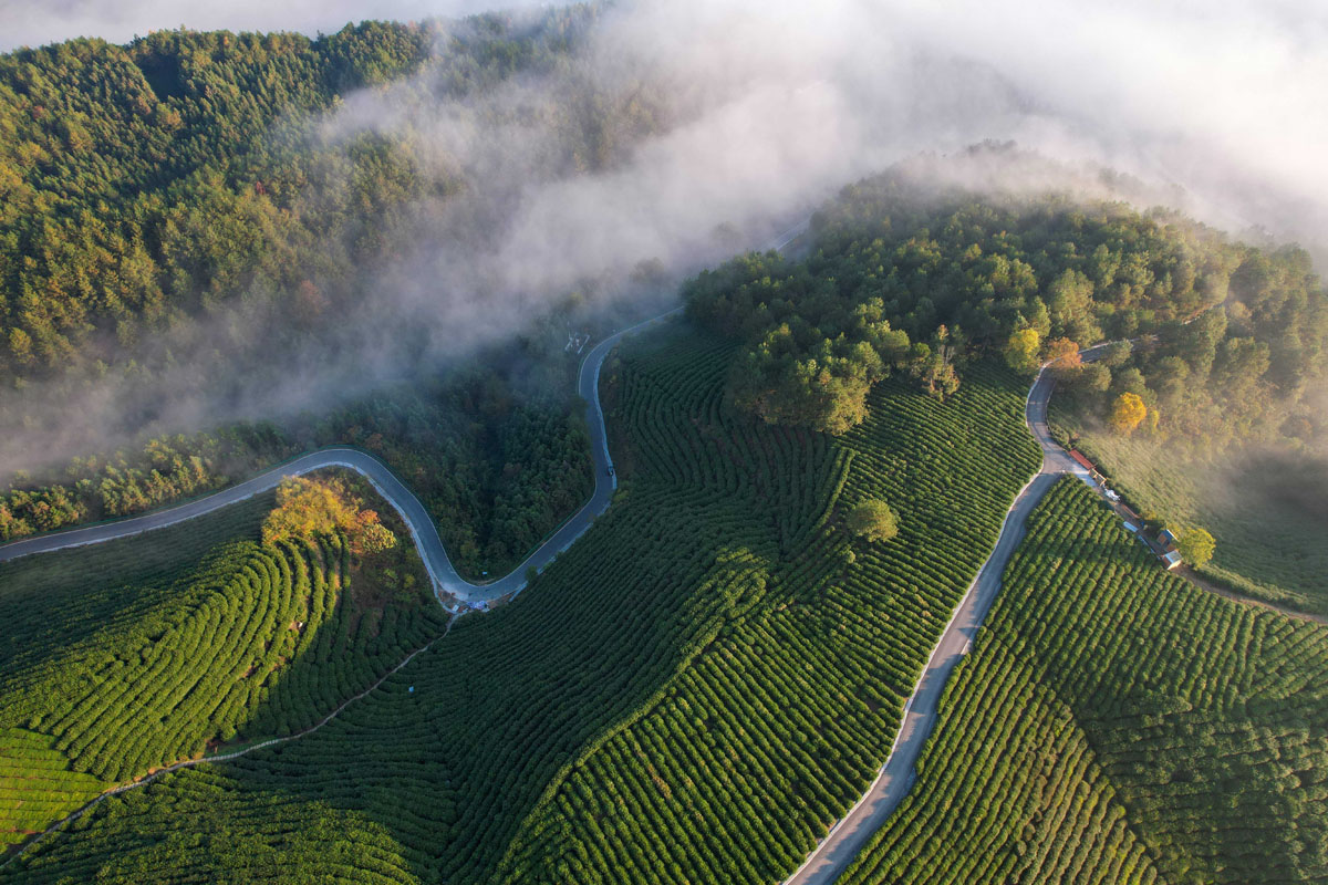 為了人民美好生活接續(xù)奮斗——智庫(kù)報(bào)告解析中國(guó)鞏固拓展脫貧攻堅(jiān)成果的實(shí)踐與理論創(chuàng)新