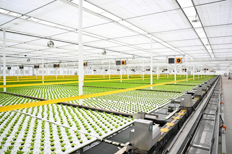 內蒙古達拉特：現代農業助力鄉村振興