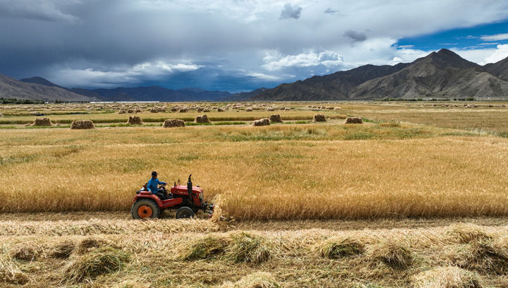 不斷開創鄉村全面振興新局面——從中央農村工作會議看2025年“三農”工作著力點