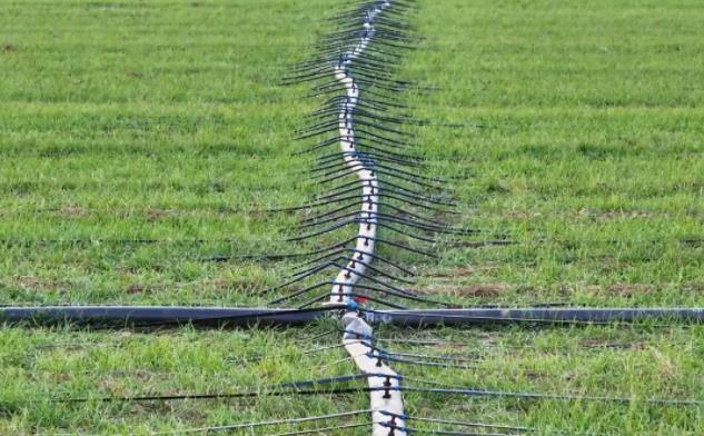 河南：產糧大省連年豐收的“芯片”密碼