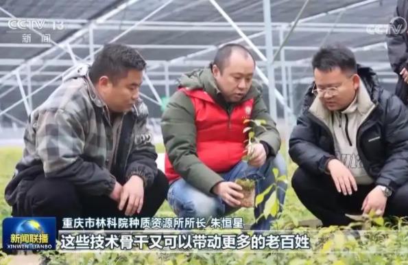 鄉村振興戰略落地有聲 中央一號文件推動農村改革走深走實