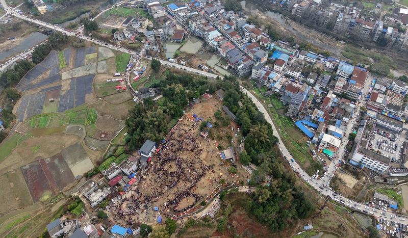 不斷夯實農業基礎 加力推進鄉村振興——解讀2025年中央一號文件