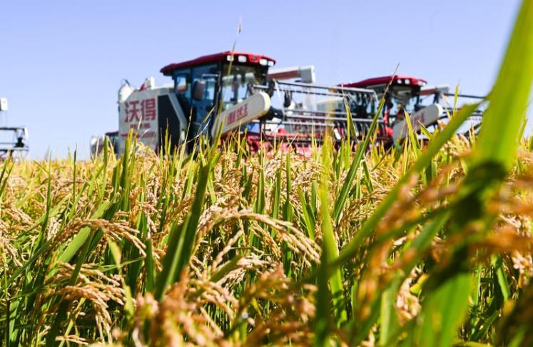 雷劉功：以數字化賦能現代農業發展