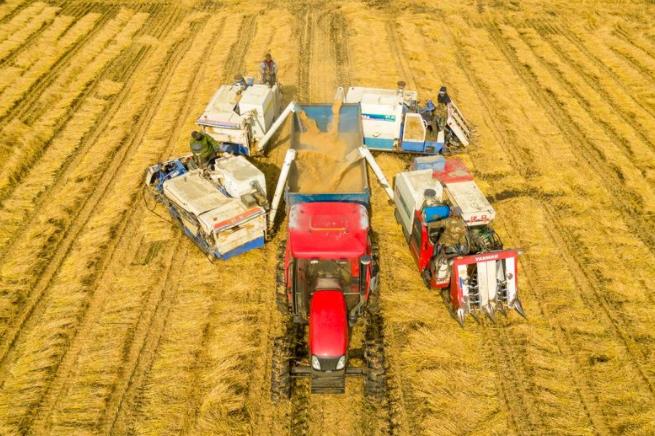 韓文秀：深化農村改革扎實推進鄉村全面振興