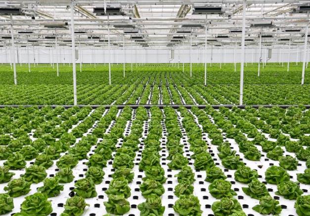 周云龍：優化重大科技創新組織機制 堅決推進農業科技力量協同攻關