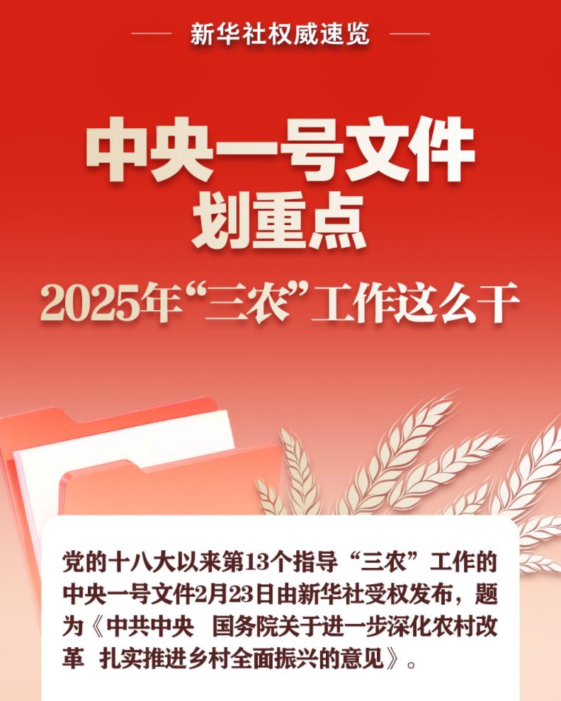 中央一號文件劃重點，2025年“三農”工作這么干