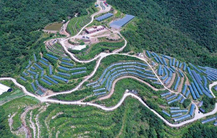 浦江縣打造“三分六統”模式 促進山區農民共同富裕